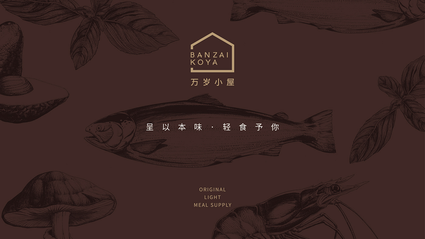 brand branding  Food  japanese cuisine Sushi