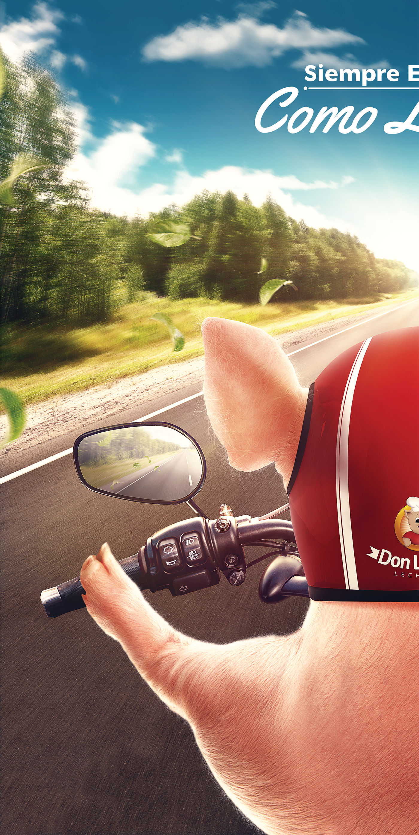 road foodtruck retouch Landscape pig Character motorcicle Bike photomanipulation digital