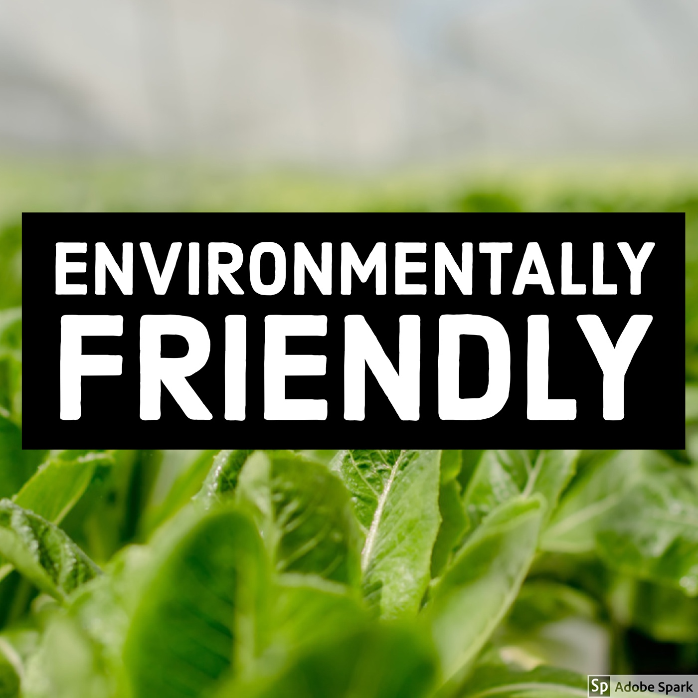 Sustainable Efficient farming aquaponics environmentally friendly Food 