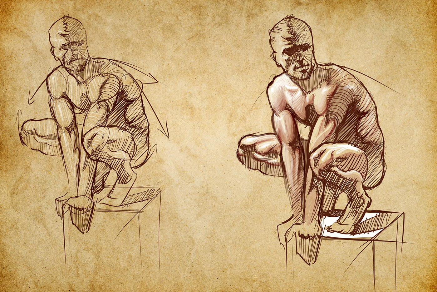 Drawing  Digital Art  anatomy