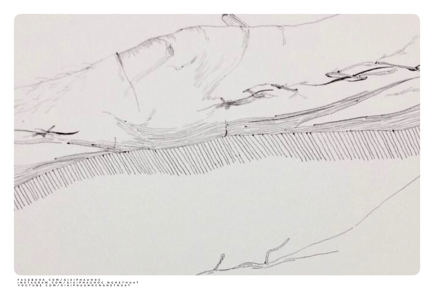 anatomy dead draw Drawing  ILLUSTRATION  Illustrator linedrawing