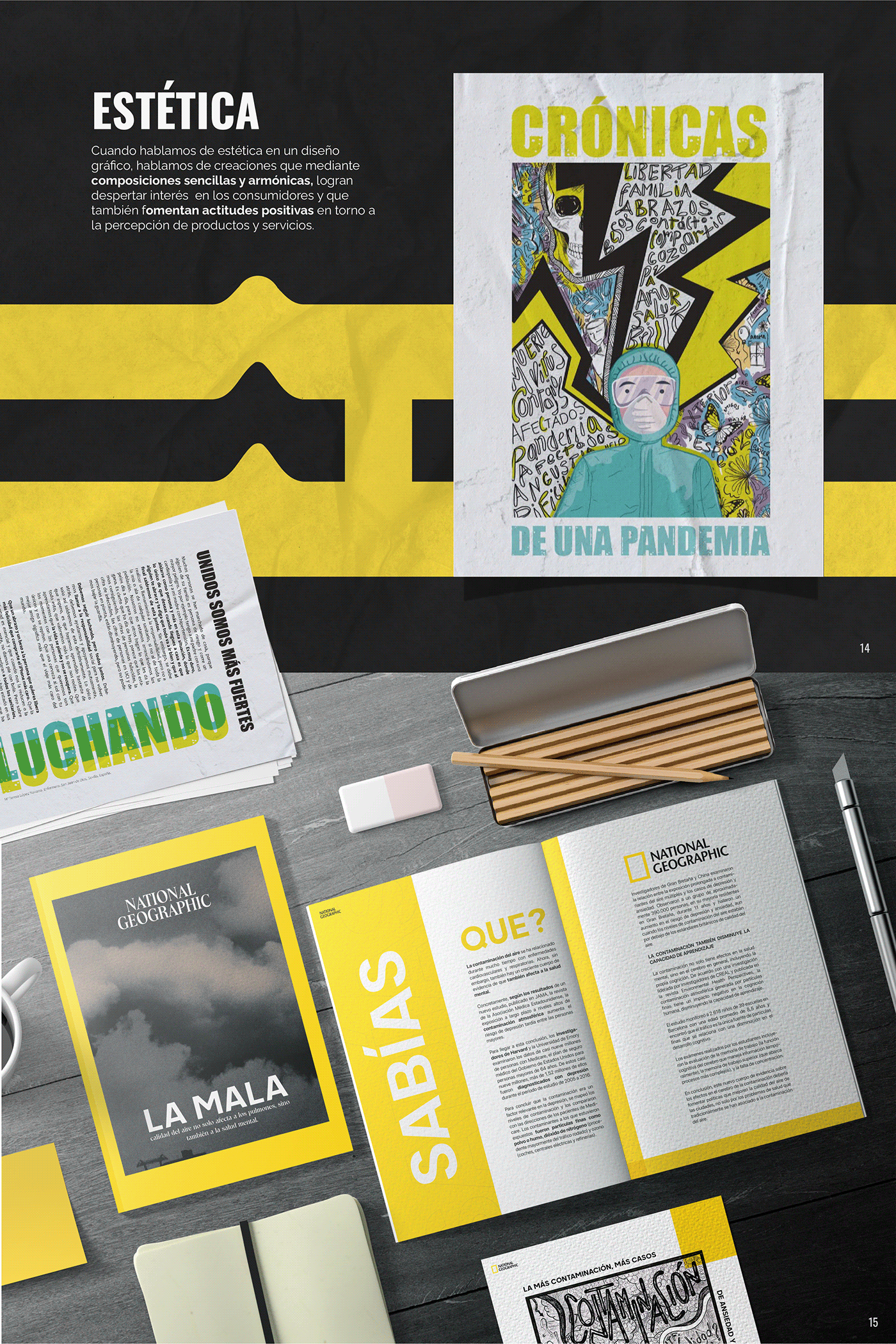 design portafolio editorial design  collage composition Creative Design color typography   visual identity Graphic Designer