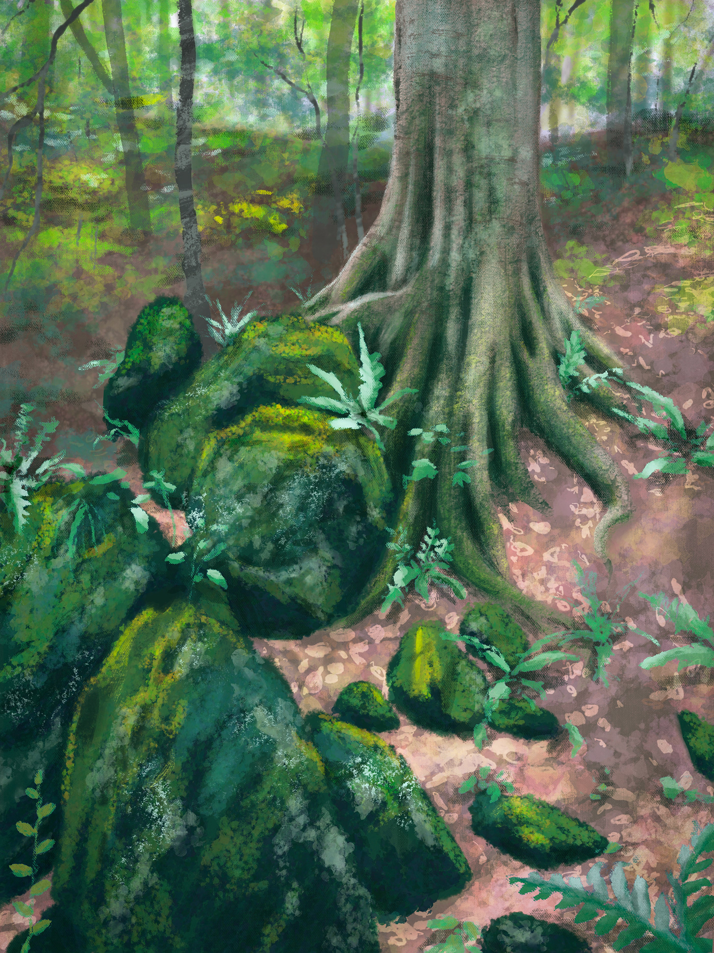 Digital Drawing digital painting forest ILLUSTRATION  ipad pro Landscape Procreate