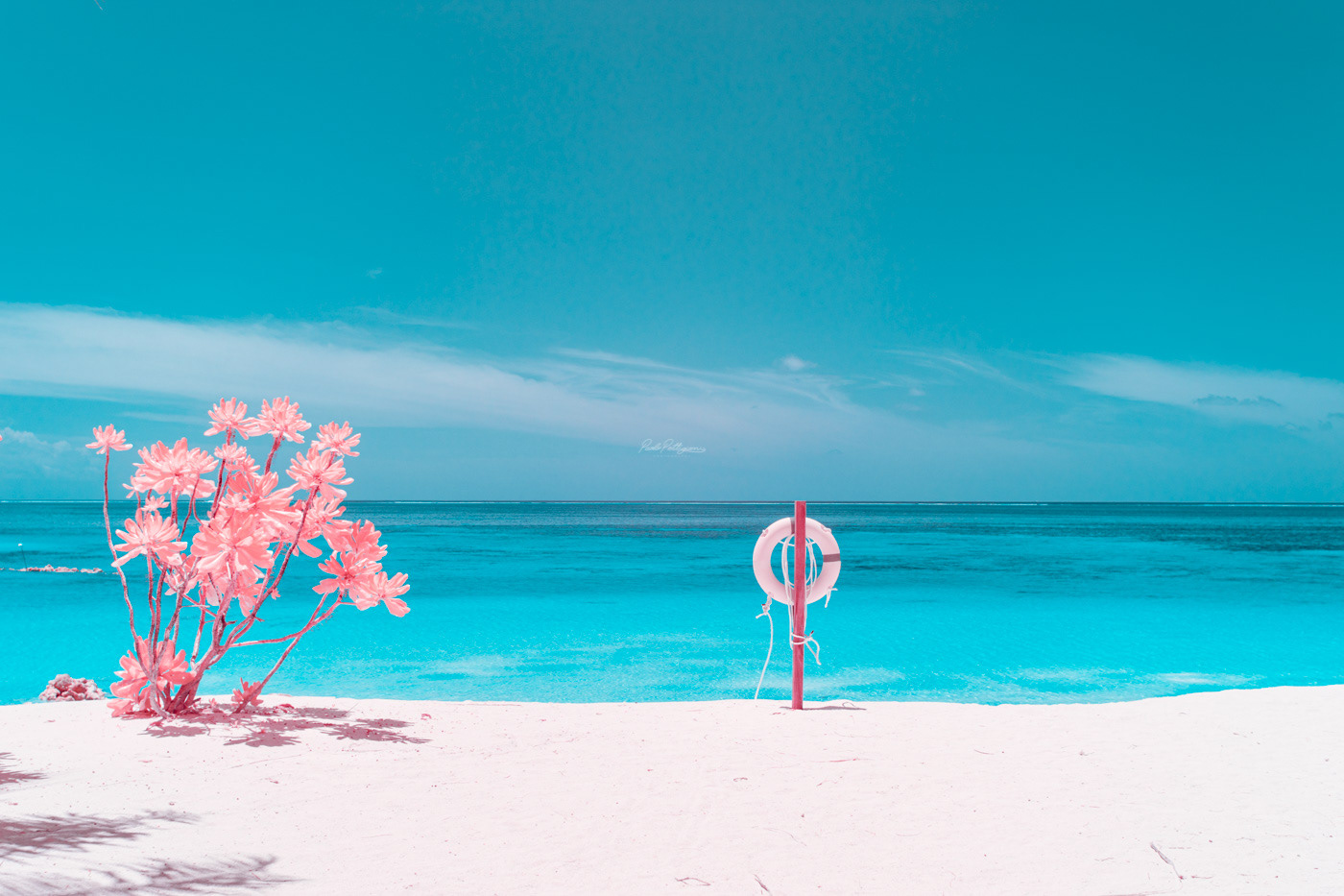 infrared Maldives beach surreal colorful pink coral Island palms sea