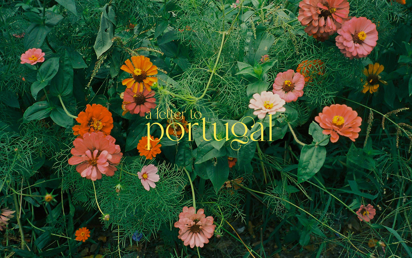 35 mm Film   film photography Kodak Gold 200 mood portrait Portugal summer Travel