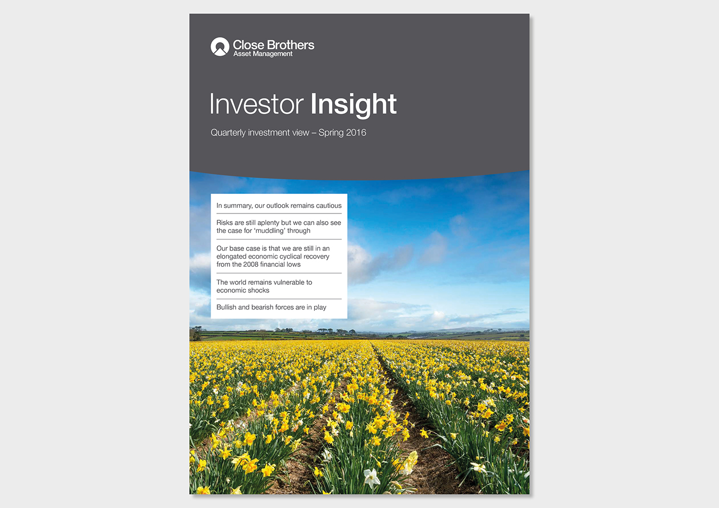 Investment update flyer brochure trends