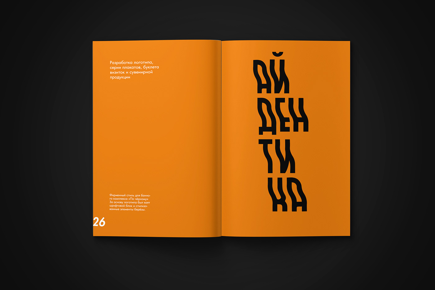 design graphic design  Layout magazine portfolio Resume type typography   графический дизайн портфолио