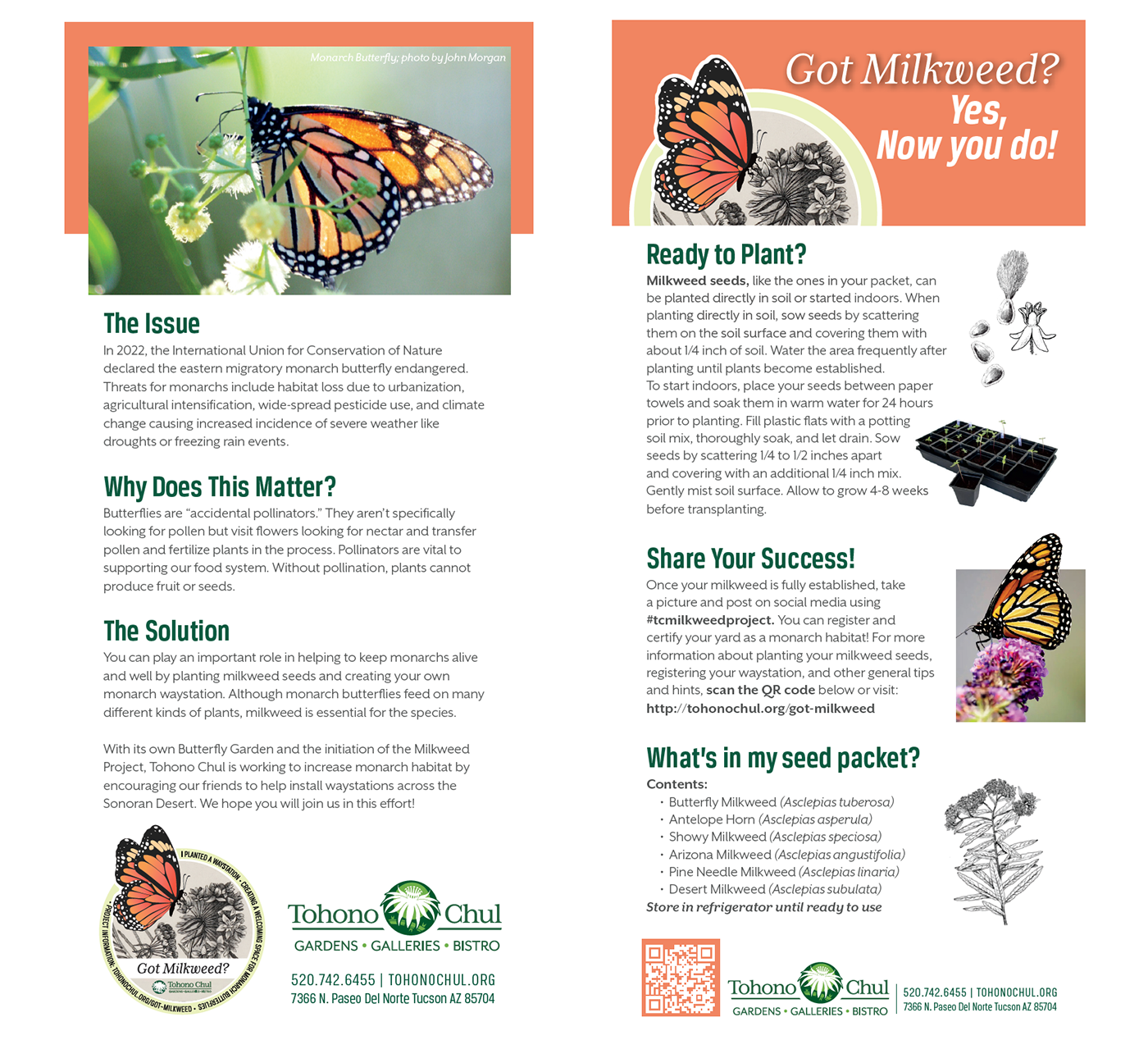 Branding design identity logo packagedesign butterfly pollinators conservation campaign appeal