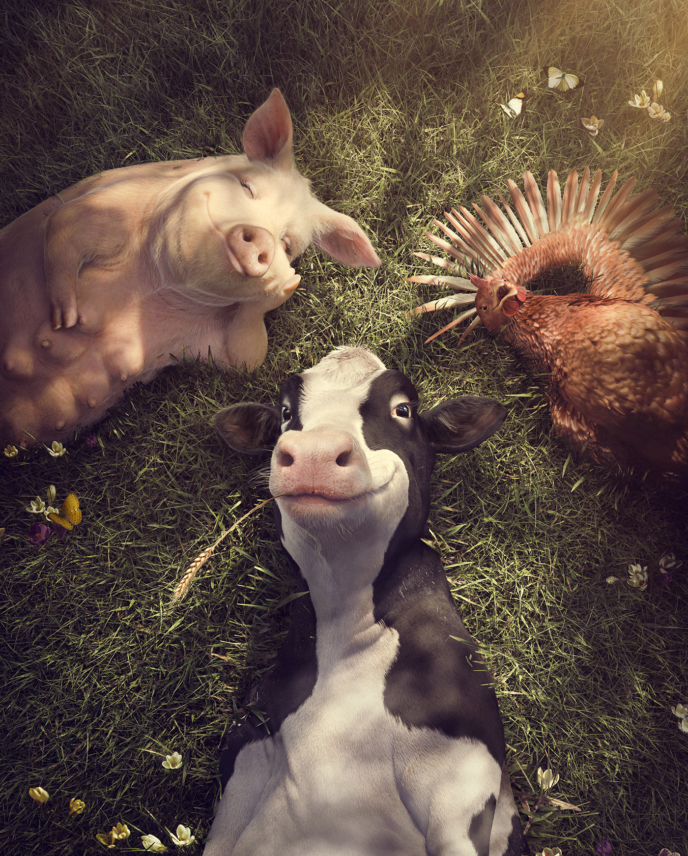 animal CGI chicken cow full cgi grass pig