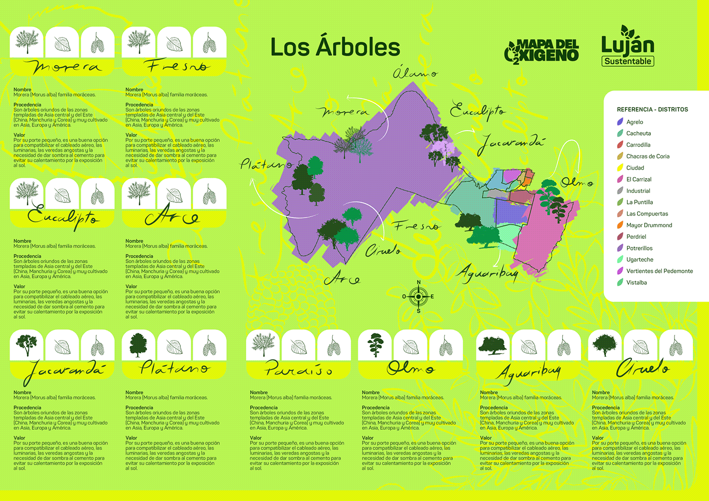 Mendoza Argentina mapa infographic Tree  oxigeno graphic design  sustentable Turismo LUJAN DE CUYO municipalidad