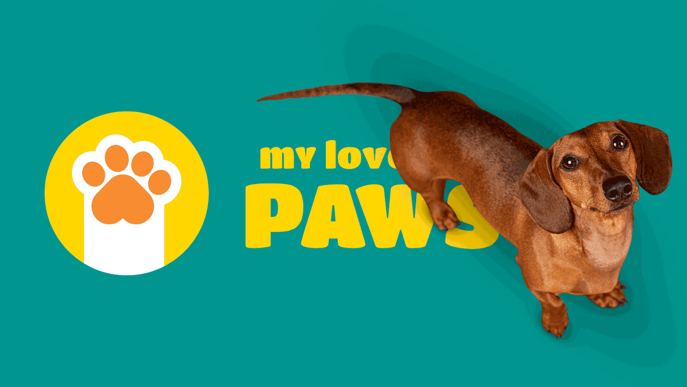 pet branding dog illustration Pet design packaging design Mockup visual identity Logotype pet logo