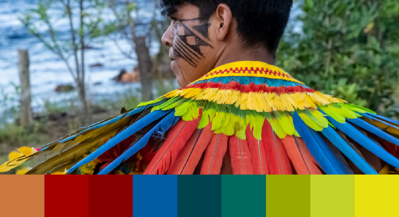 Direção de arte design gráfico identidade visual Logo Design brand identity branding  Graphic Designer visual identity indigenous indigena