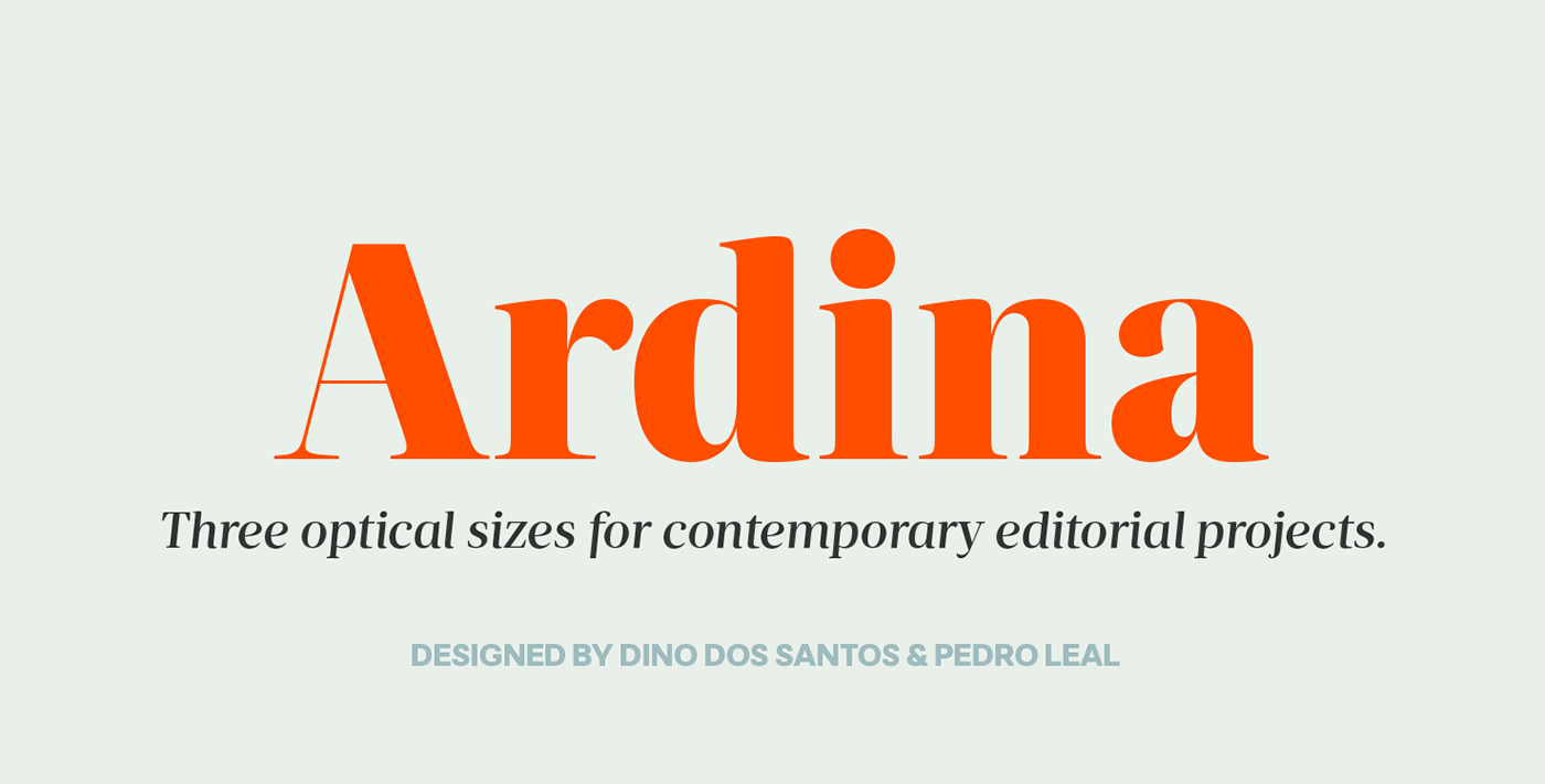 font Typeface editorial DSType serif optical sizes