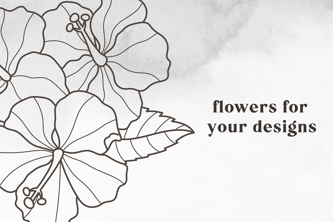 hibiscus Flowers vector adobe illustrator logo design set Icon hand draw