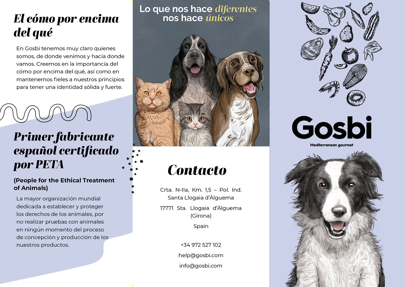 triptico folleto diseño gráfico marca design gráfico marketing   gosbi