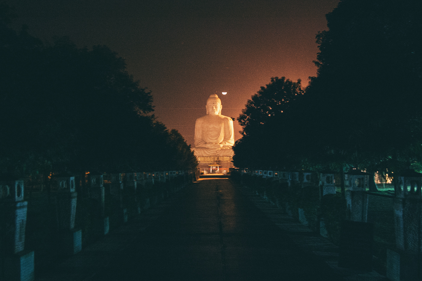 India Budhha photo world peace Delhi varanasi religion