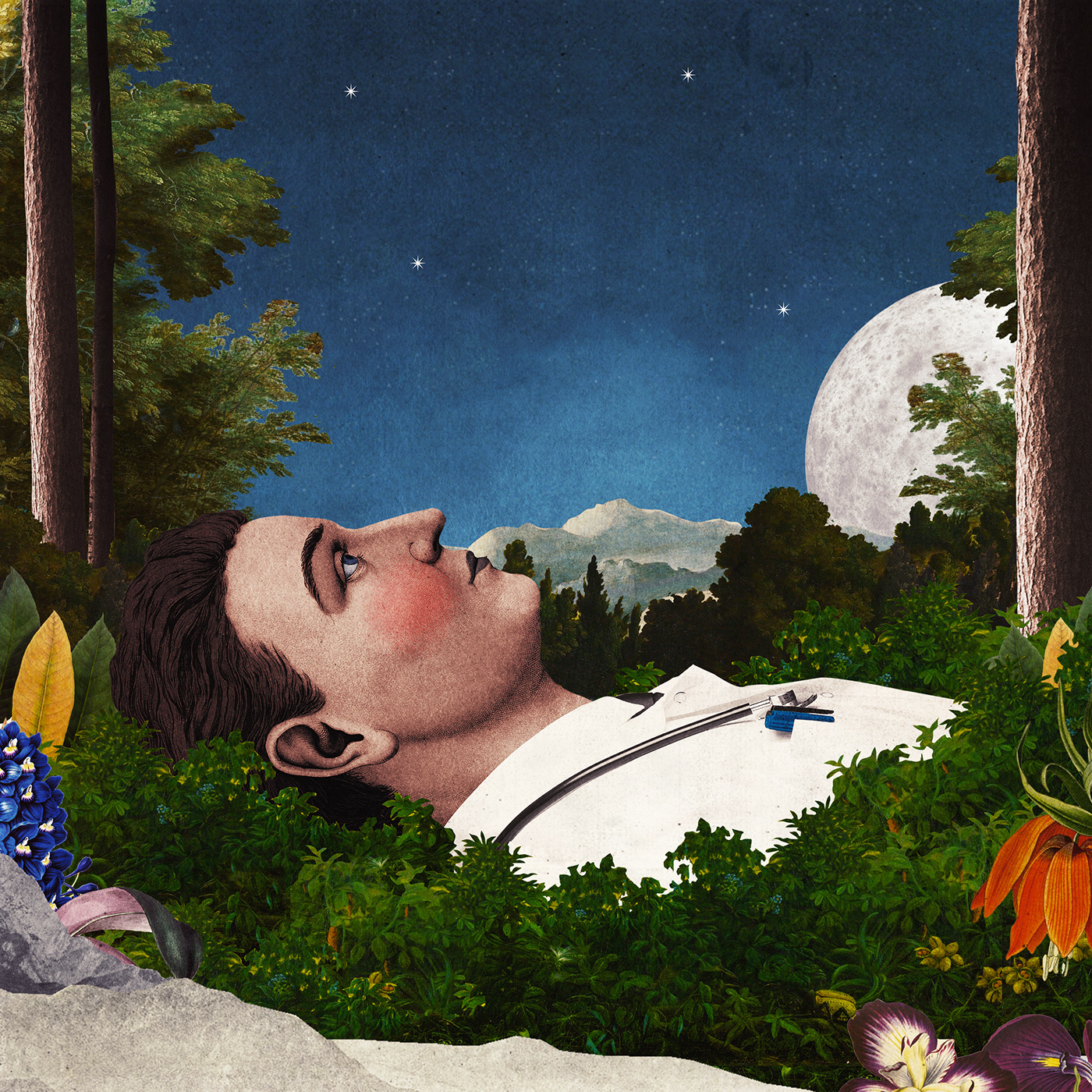 collage collageartist digitalcollage forest medical medicine podcast Podcast cover san francisco surrealism