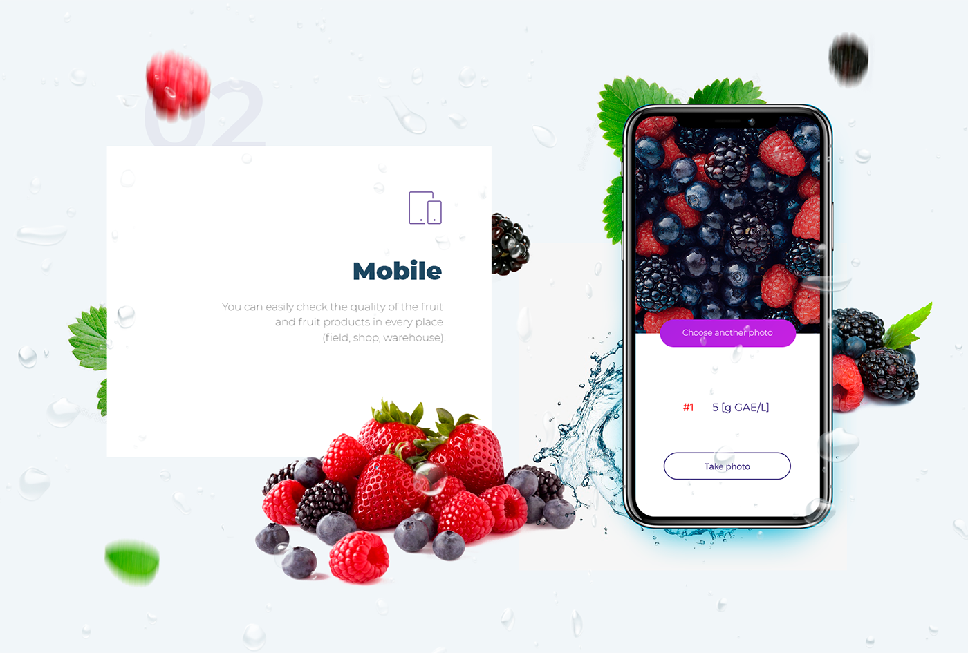 SmartBerries app aplication mobile android ios iphone Fruit