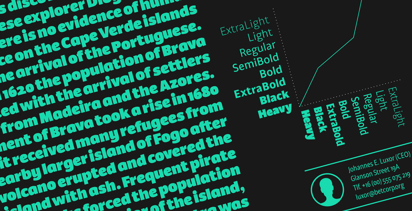 typography   sans modern editorial headlines Display text condensed cool