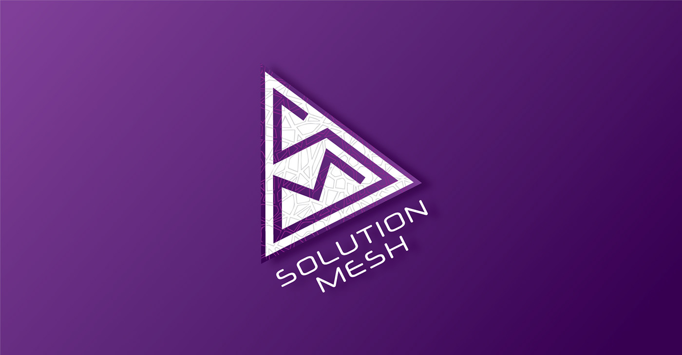 IT Solution branding  brand identity Logotype