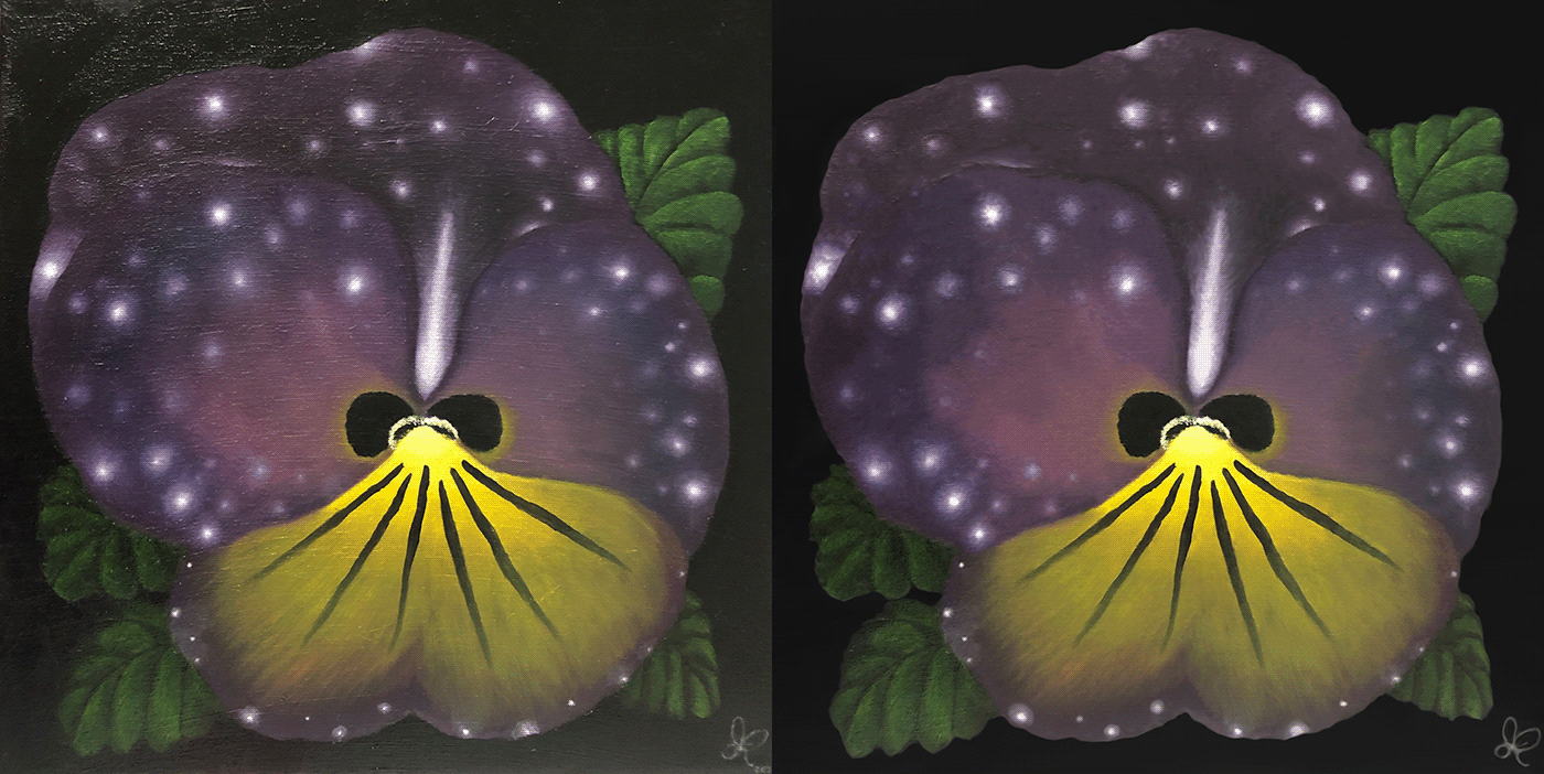 pansy flower stars Comet light Shadows universe purple yellow