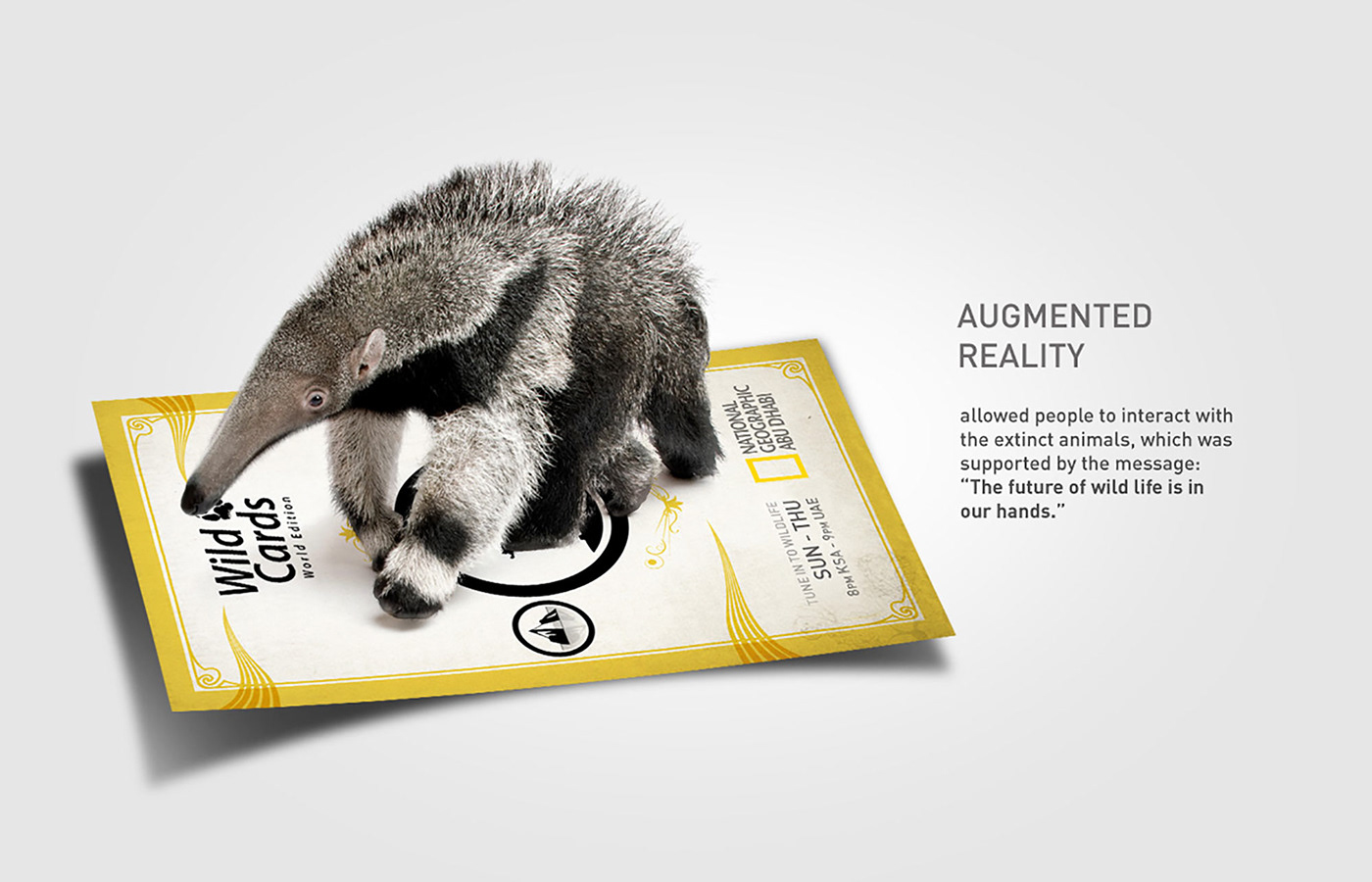 national geographic Nat Geo wild cards cards interactive augmented reality A.R. facebook app environment Animal protection conservation