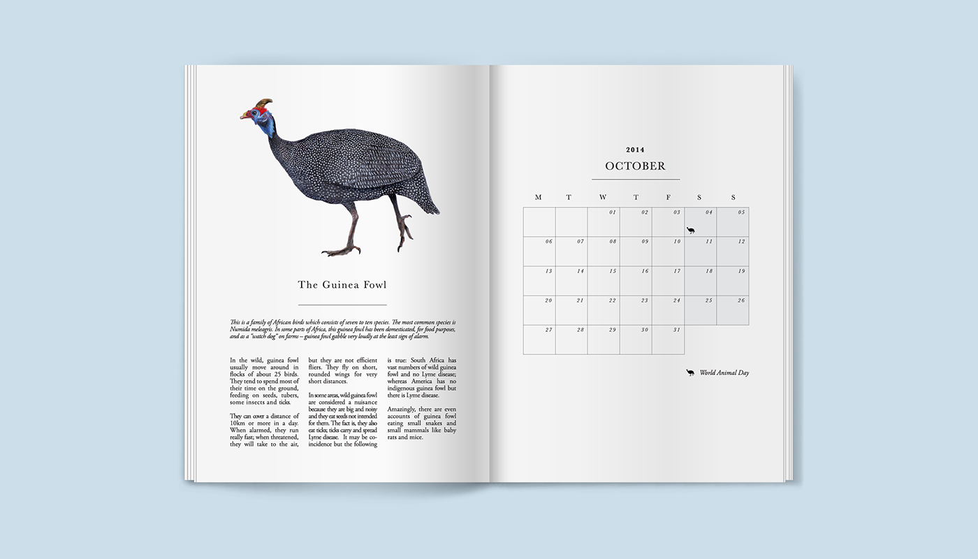 drawings book Calender design national geographic animals ILLUSTRATION 