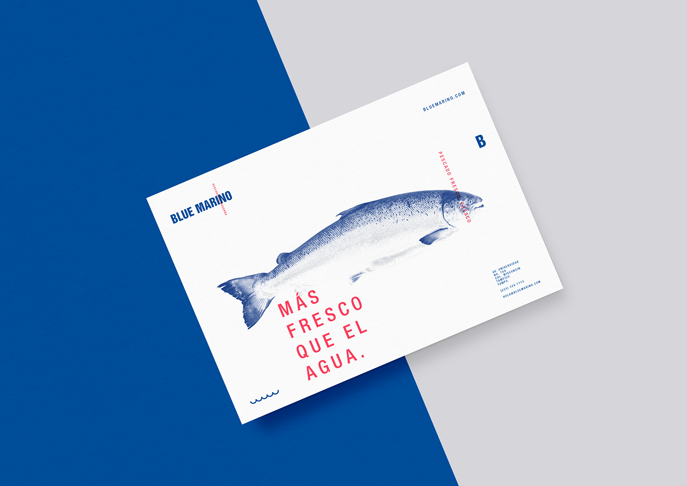 fish fish market logo blue red whithe mexico tampico jonathan mont seafood lines minimal marine Mediterrean navy