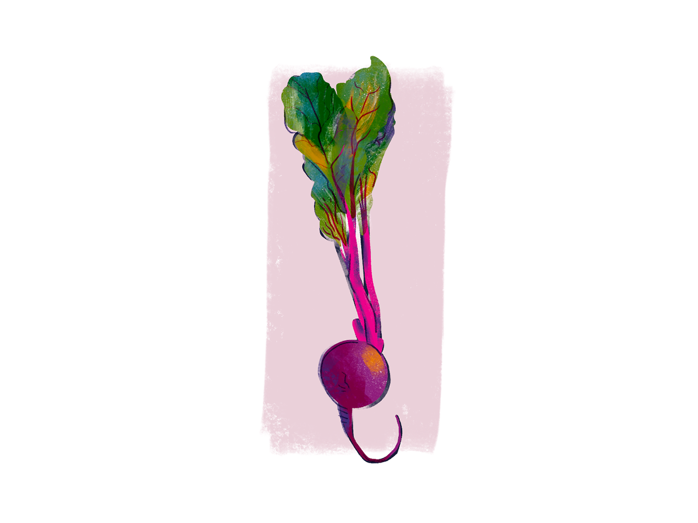 Food  sketch quick herbs berries Onion nuts Procreate Drawing  Fun