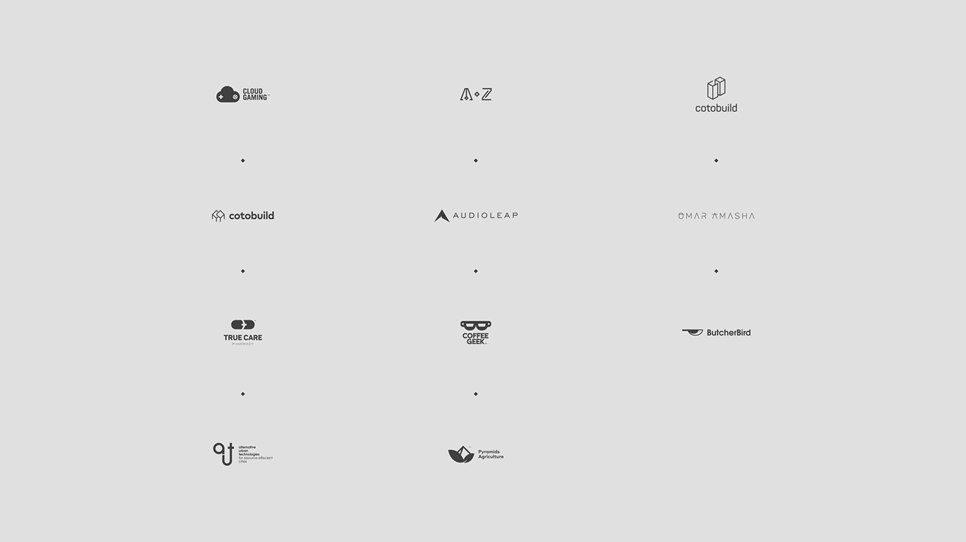 logos brands type logodesign Logotype hanijamalart logofolio typography   marks icons
