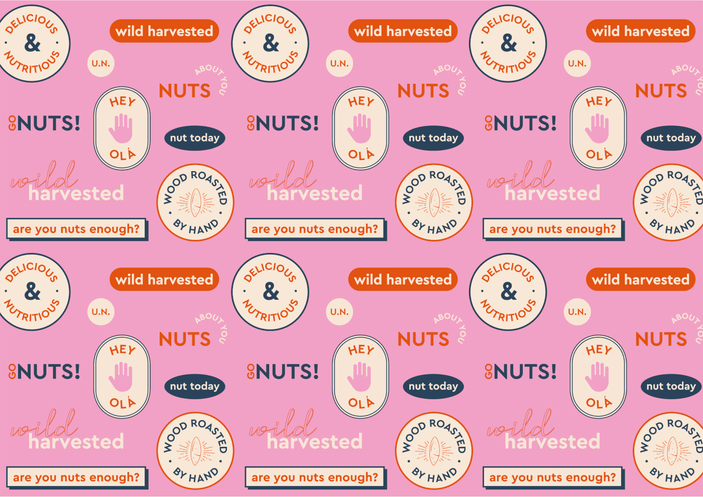 brand identity branding  icons ILLUSTRATION  logo Logo Design nut packaging nuts Packaging Playful
