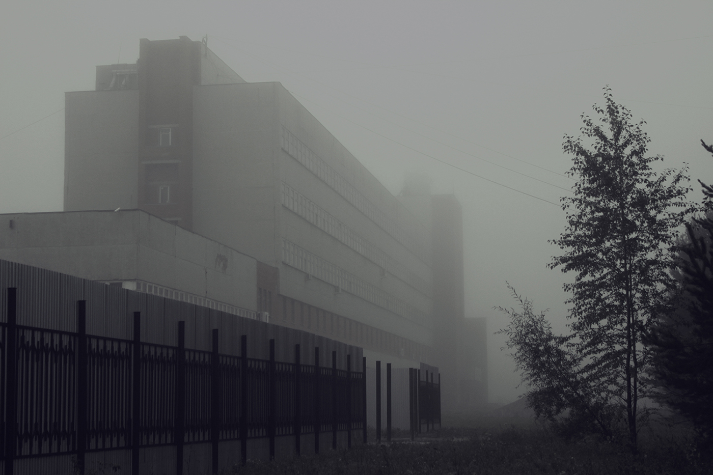 building creepy dark fog forest haze Landscape mystical Urban
