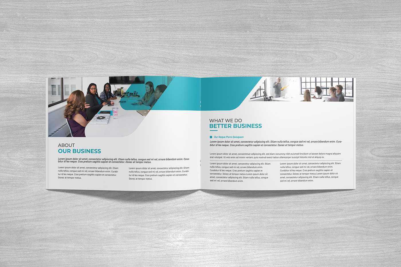 Company Profile Template, Company Profile, Business Brochure, Annual report