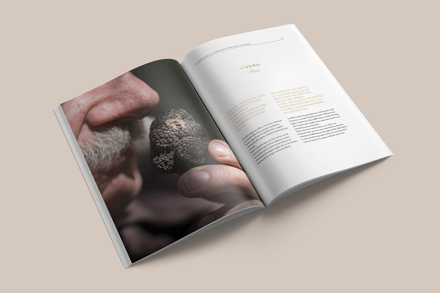 brochure truffles tartufi raffinerie