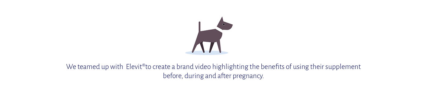 pregnancy Health animation  vector ILLUSTRATION  2D 2D Animation Character design  brand video after effects