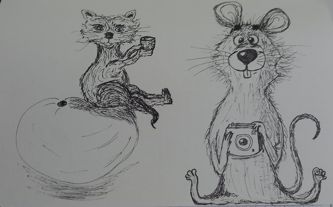 mouse Coffee racoon