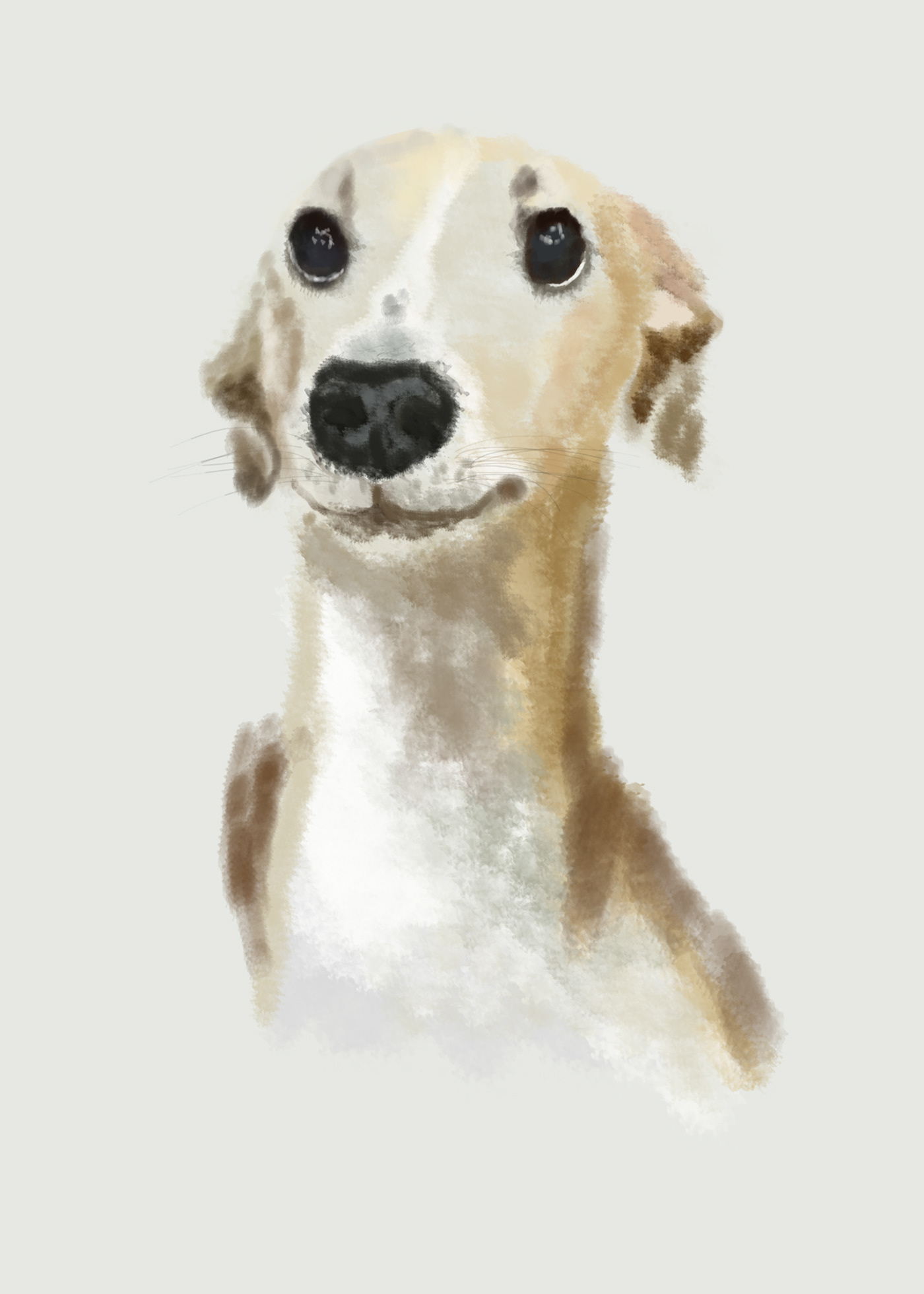 canine digital illustration dog Drawing  hound sketch акварельная иллюстрация скетч со