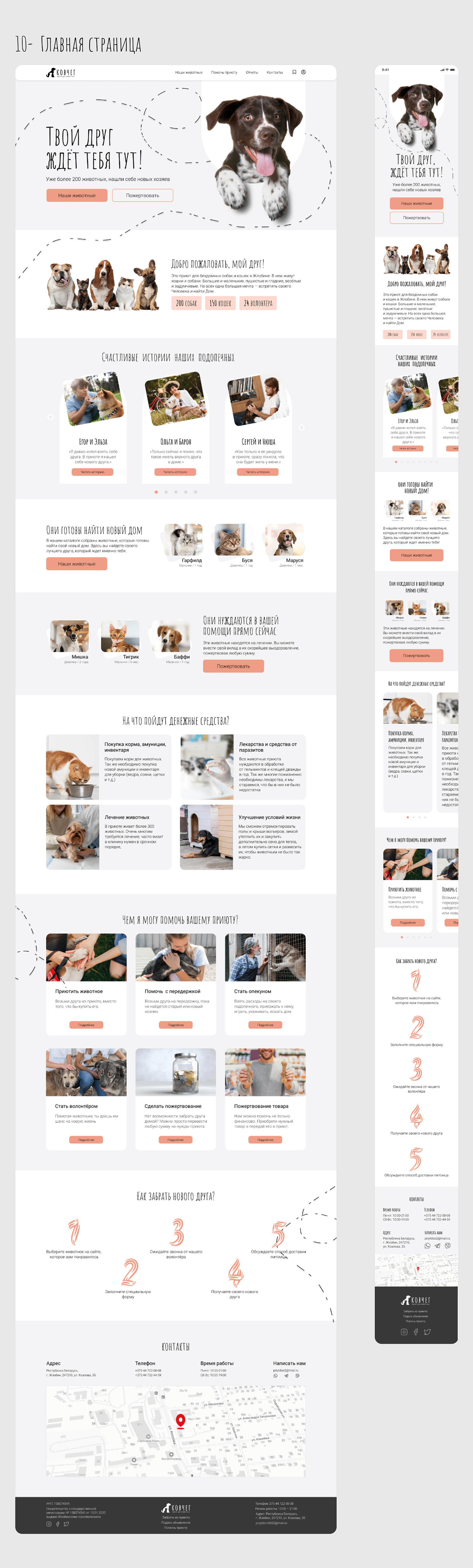 UI/UX Website дизайн сайта животные лендинг приют для животных фонд помощи