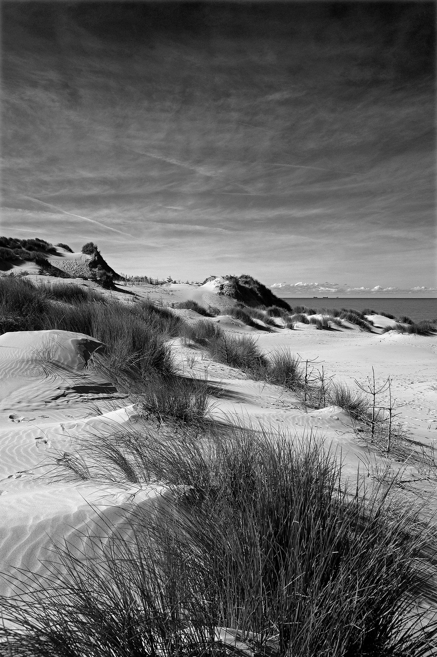 black and white natural forms Nature outdoors sand dunes