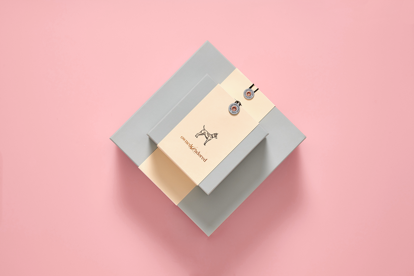 Anagrama anagramastudio mexico design branding  Pet Packaging collars identity pink