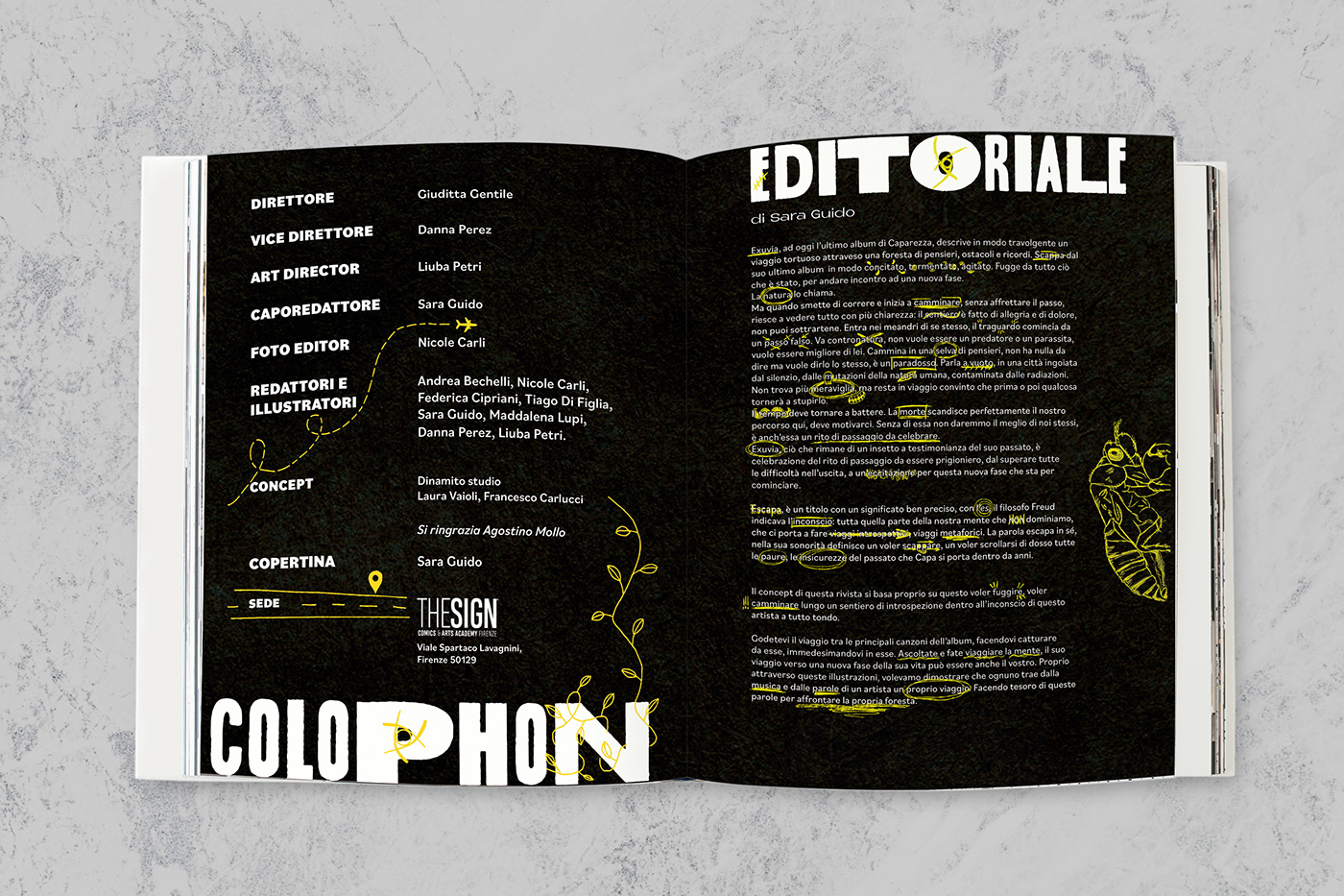 graphic design  InDesign Magazine design