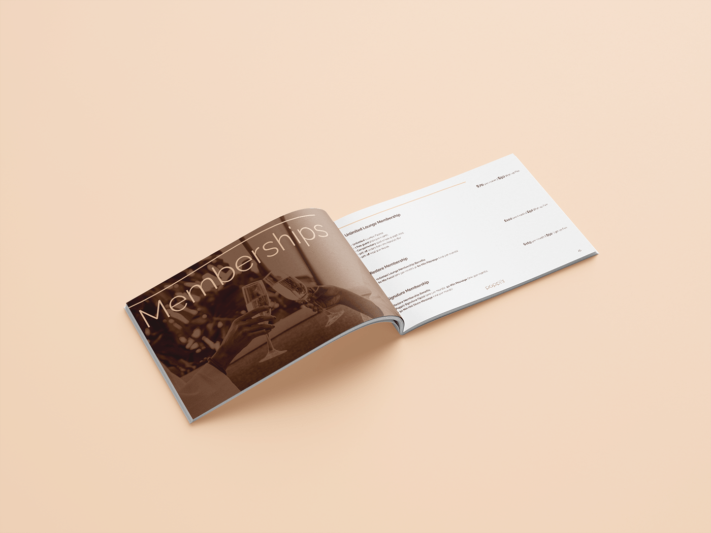 aesthetic book book cover Booklet booklet design brand identity brandbook lounge Spa visual identity