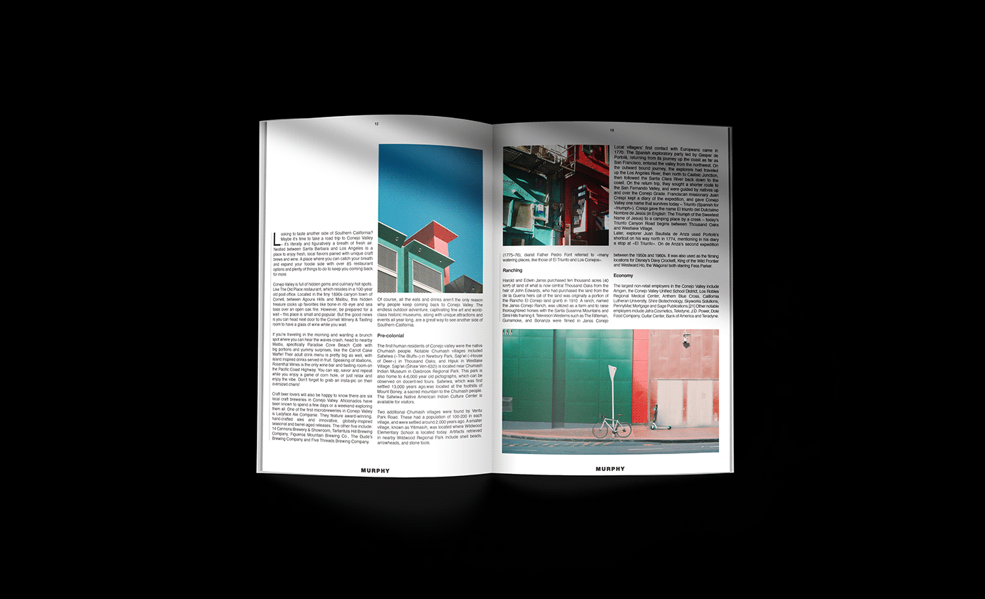 ArtDirection edition editorial graphic graphicdesign Layout logo magazine Photography  typography  