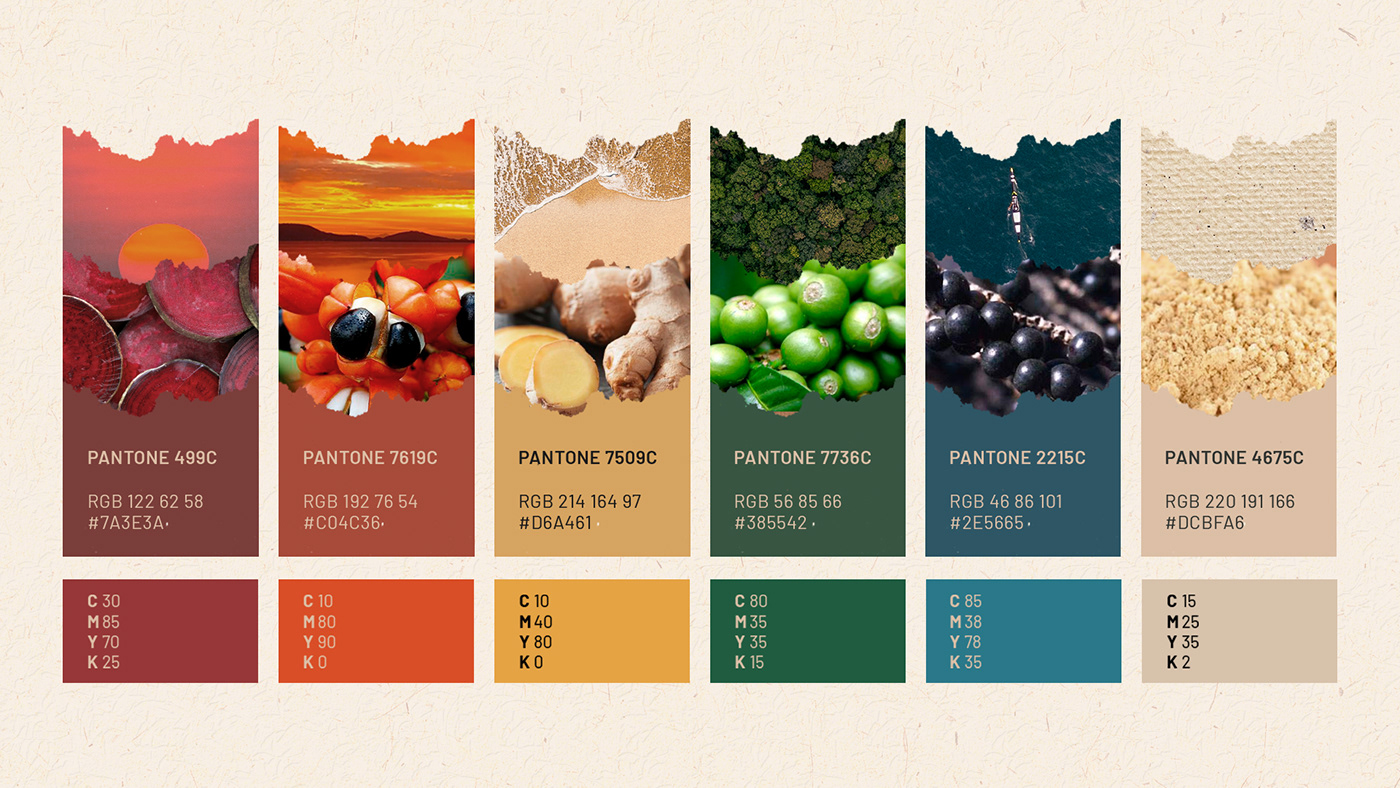 superfoods branding  Brand Design Packaging brand identity package natural Ecology green ILLUSTRATION 