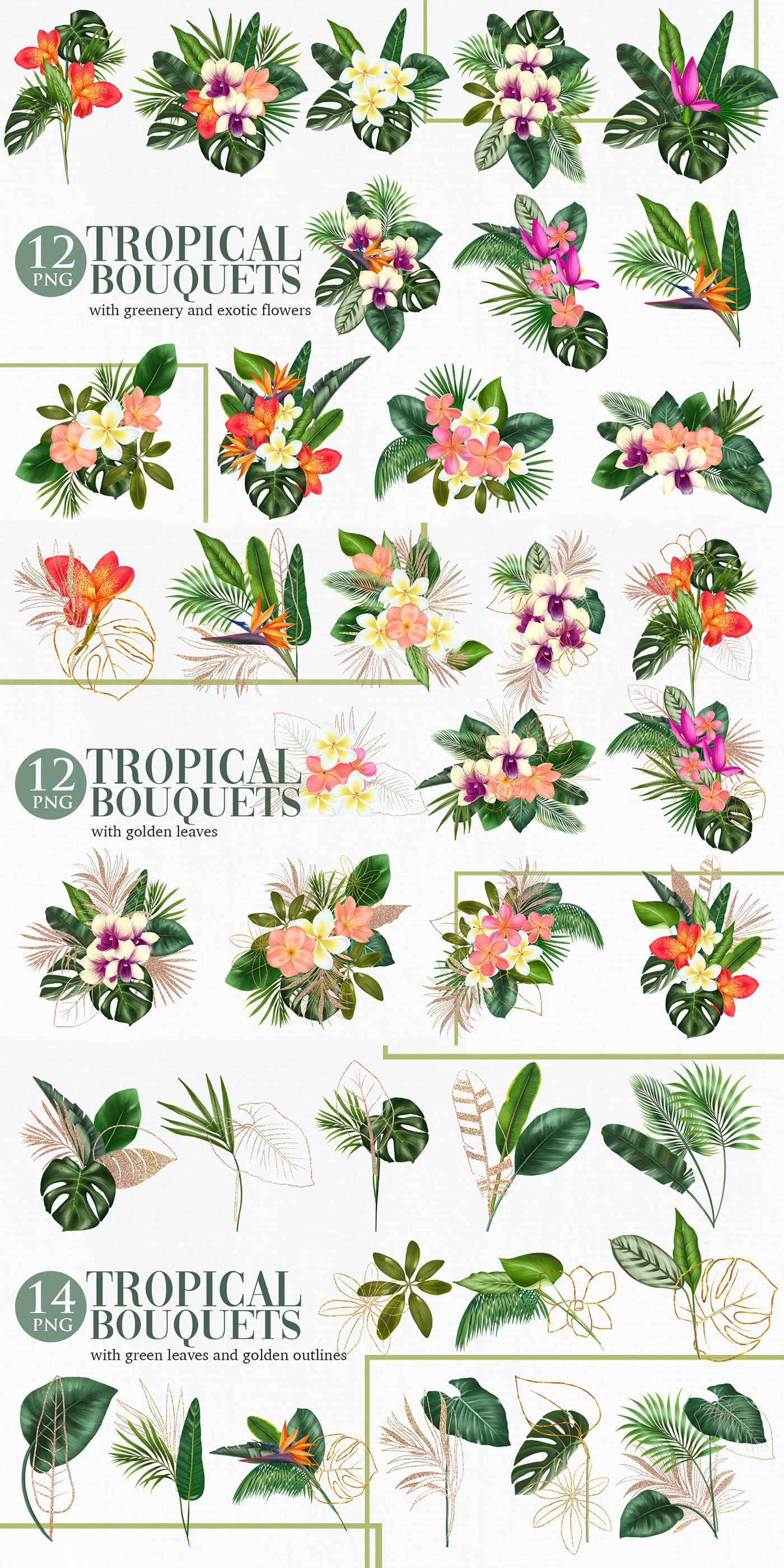 graphic ILLUSTRATION  painting   clipart Flowers botanical floral tropical flowers greenery jungle