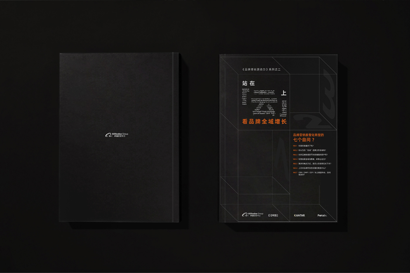 alibaba group book design Layout 书籍设计 阿里巴巴 阿里巴巴 全域营销小黑书