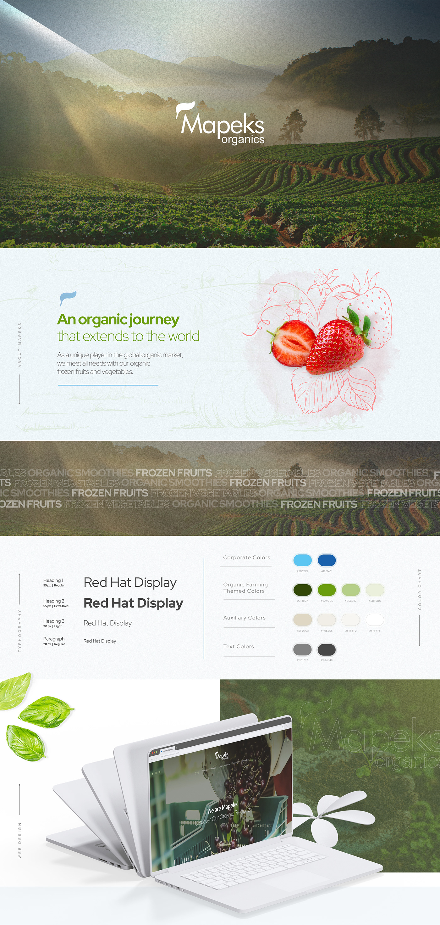agency ajansbee design graphic design  natural organic poster social media Website wordpress