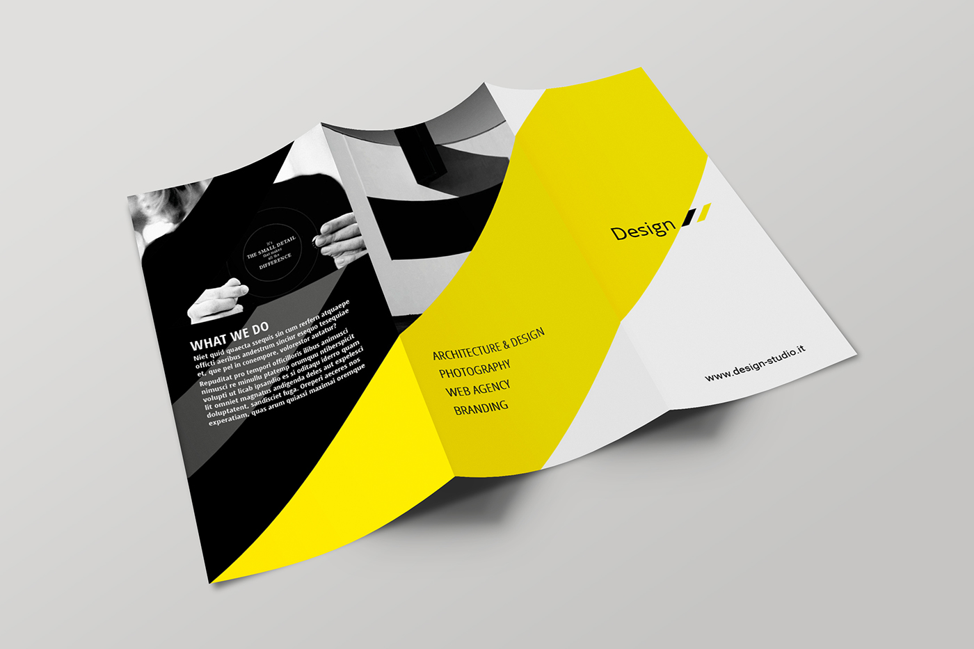 brochure design graphic graphic design  Layout Brochure Tri Fold Adobe InDesign Adobe Photoshop editoria professional brochure design