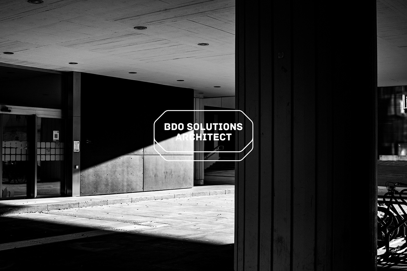 BDOSolutions brand brand identity branding  business card identity Logo Design mondaycreative vuphamdesign vupham