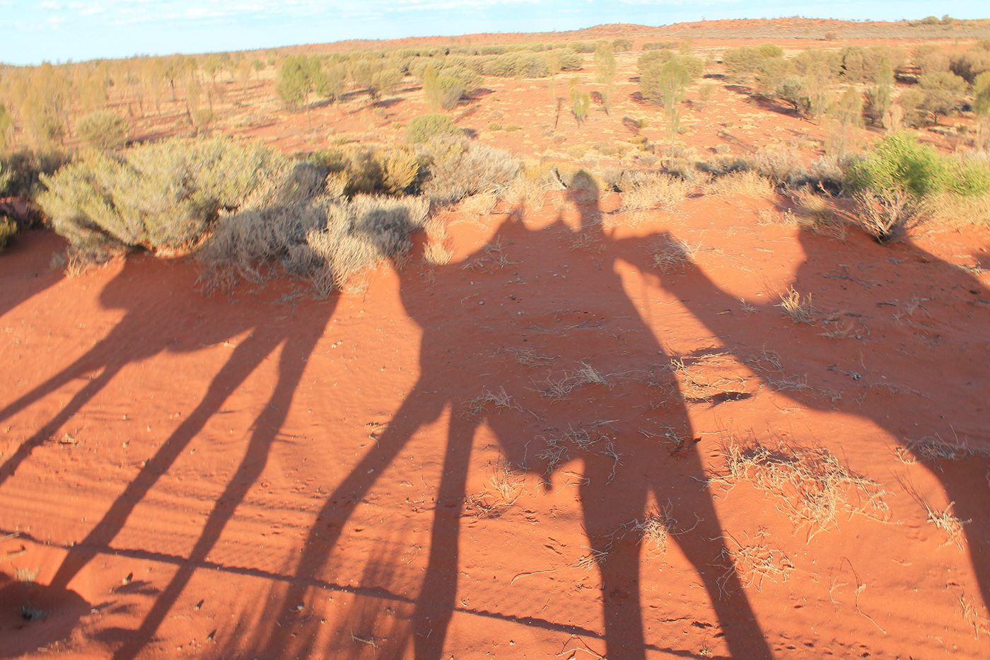 Australia camel canyon outback red rock sunset uluru water